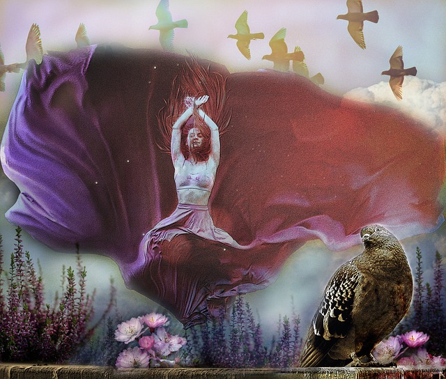 澳大利亚的 澳大利亚的