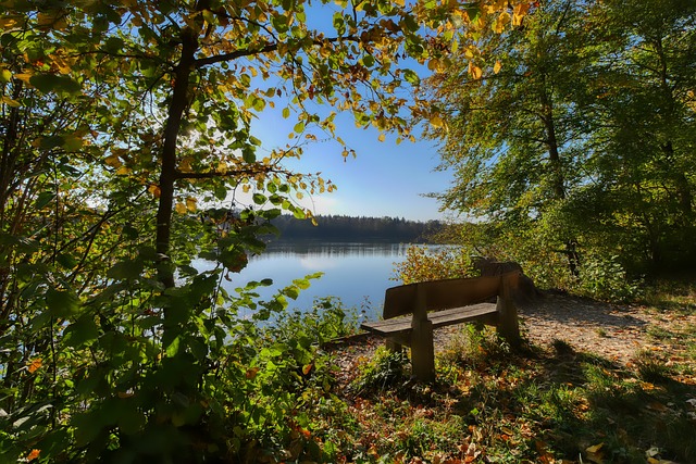 为所有旅客 为所有旅客