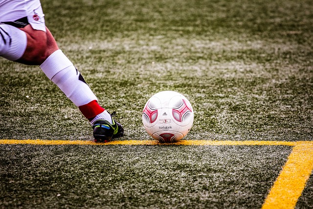 我们可以看 我们可以看