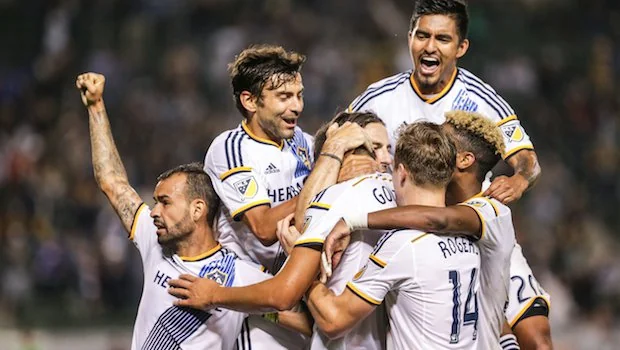 手的樣貌 手的樣貌