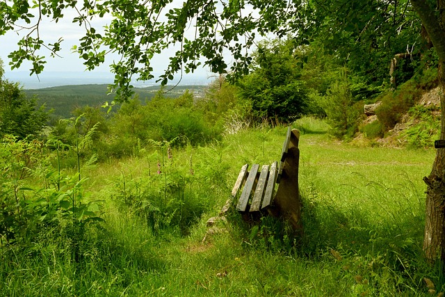 次总排名倒 次总排名倒