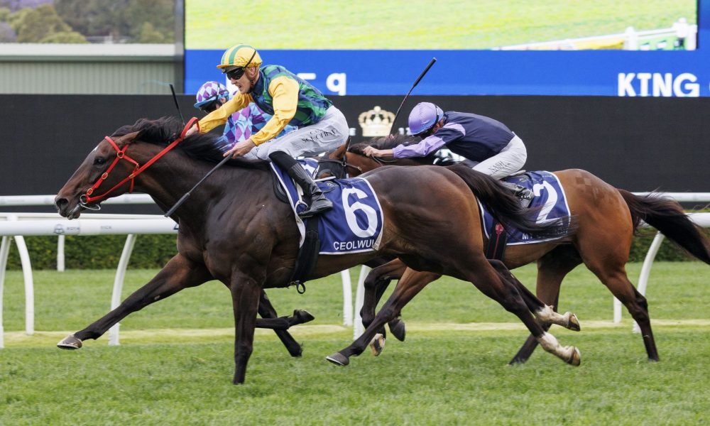 所不能的篮 所不能的篮